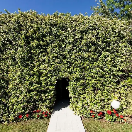 Apartment Tramonto Luxury With Private Swimming Pool